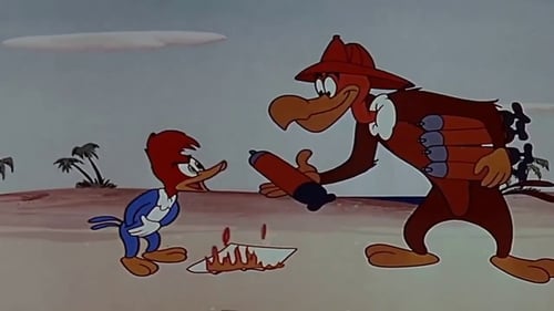 Poster della serie The Woody Woodpecker Show