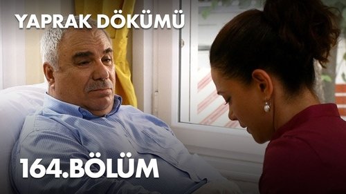 Poster della serie Yaprak Dökümü