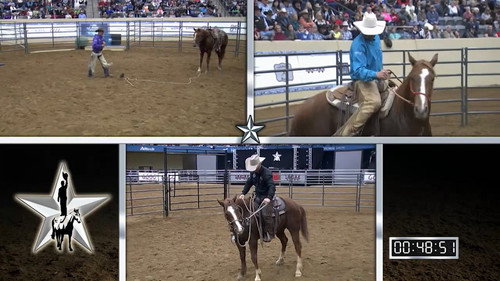 Round 2 (Second Horse)