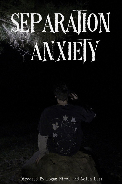 Affiche de Separation Anxiety