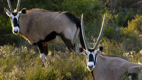 Karoo National Park