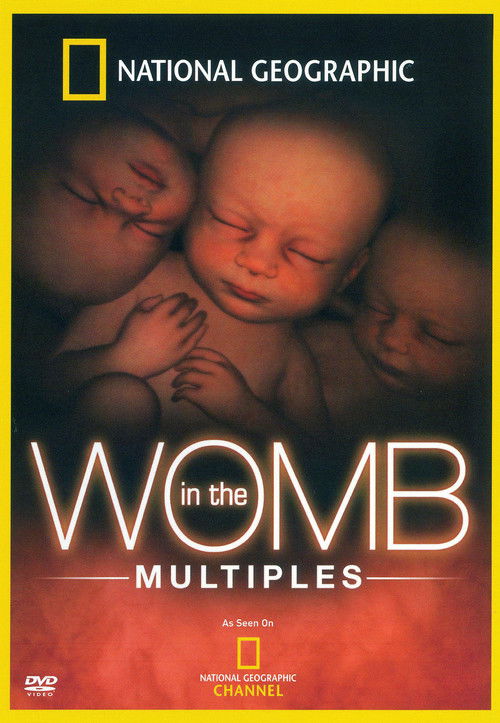 In the Womb: Multiples poster