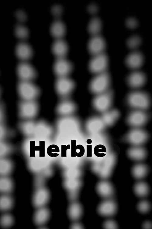 Herbie Movie Poster Image