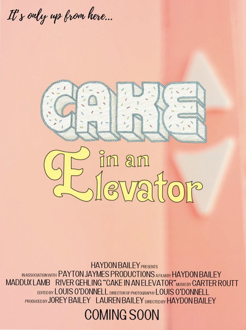 Cake in an Elevator
