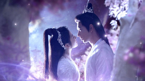The Starry Love