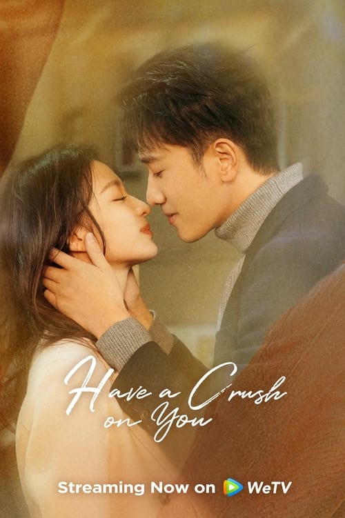 Have a Crush On You tv show poster
