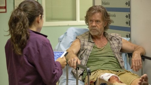 Shameless: 9×13