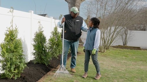 Planting Arborvitaes, Storage Rack