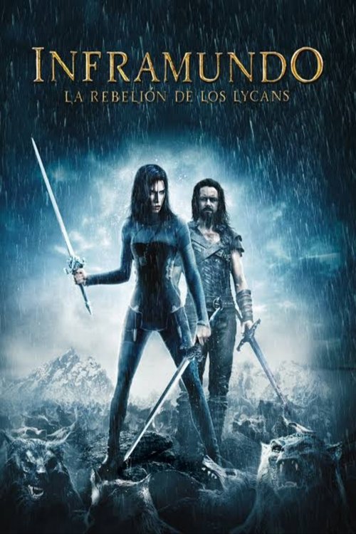 Posters