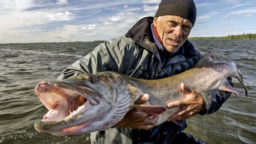 Poster della serie River Monsters