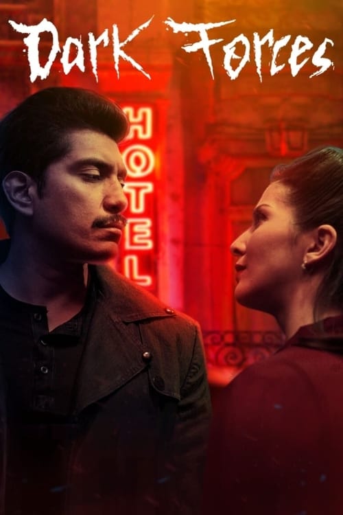 In search of his sister, a renegade criminal seeks answers at a sordid hotel where he encounters a sinister guest and romances a mysterious waitress.