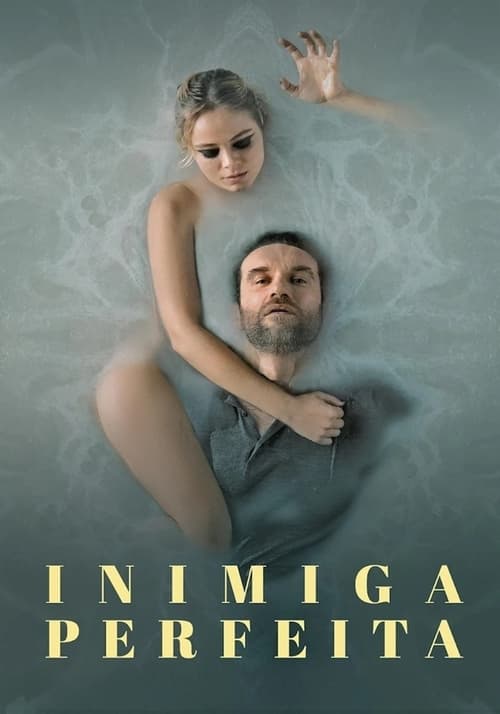 Poster do filme Inimiga Perfeita