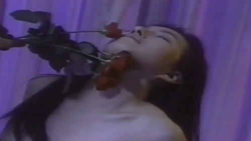 Sensual Forest Beauty