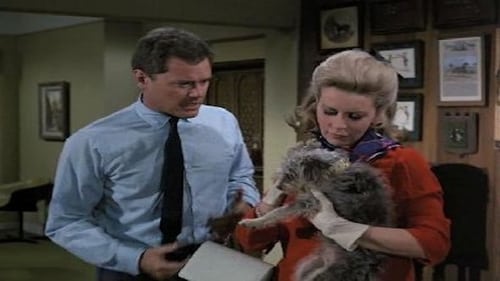 I Dream of Jeannie, S04E06 - (1968)