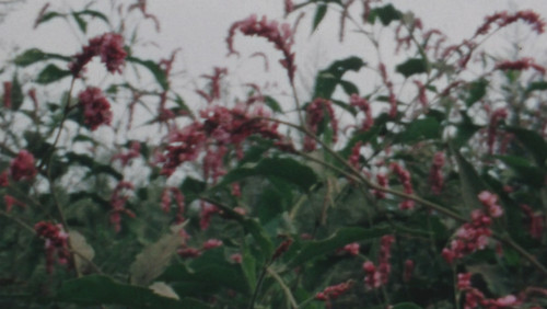 The Extinction of Landscape