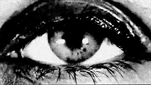 Purgatory for Epiphanea