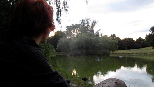 Les oiseaux de l'Est