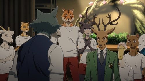 BEASTARS – O Lobo Bom: 2×1
