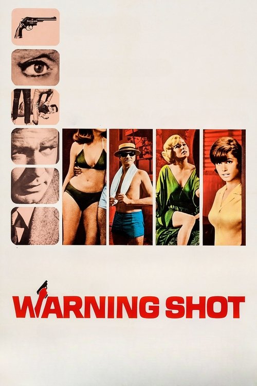 Warning Shot poster