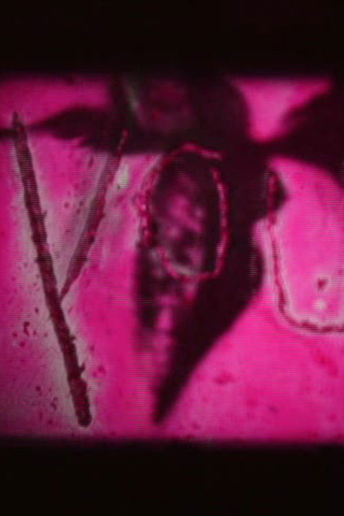 We Are All In Your Head