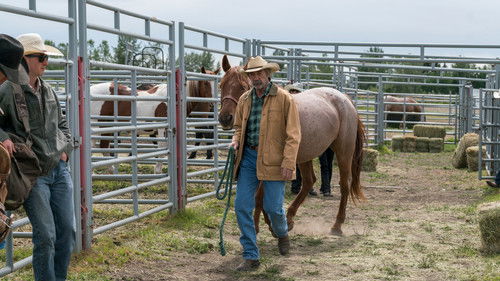 Heartland: 10×3