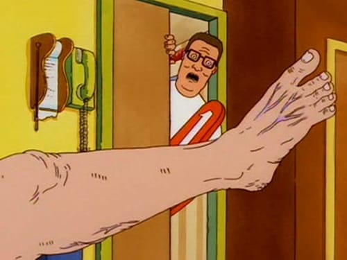 Poster della serie King of the Hill