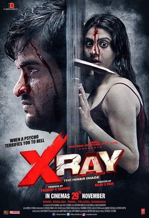 X Ray: The Inner Image (2019) poster