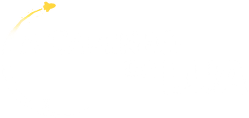 A Caminho da Lua - Logo 4