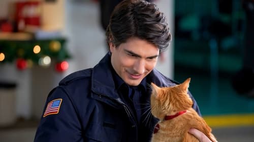 Watch The Nine Kittens of Christmas Online Hoyts