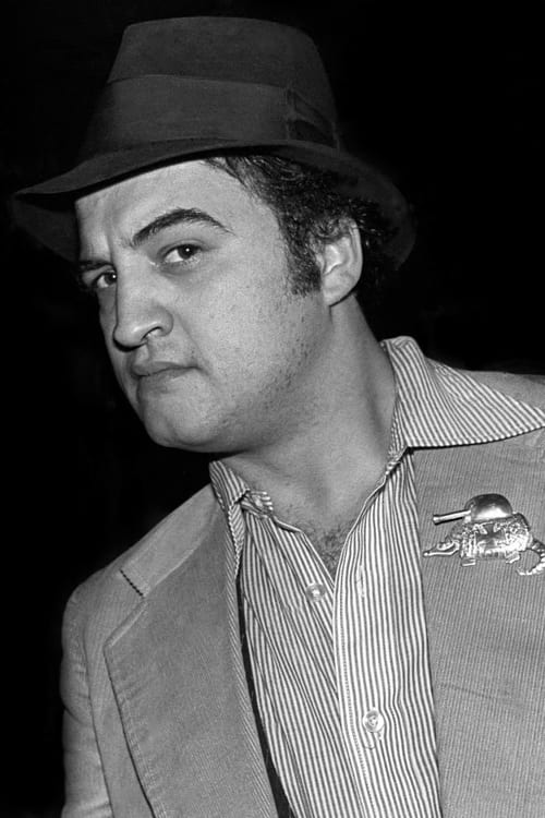 Kép: John Belushi színész profilképe