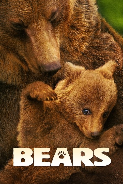 Bears (2014) poster