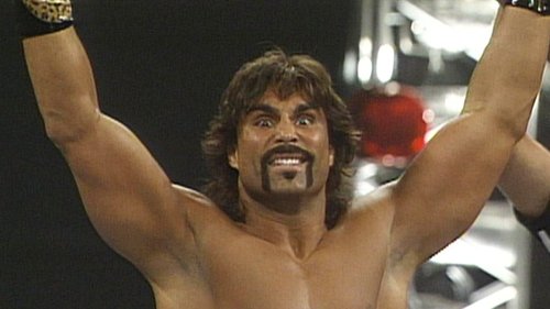 Poster della serie WWF Superstars