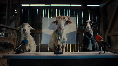 Sheep