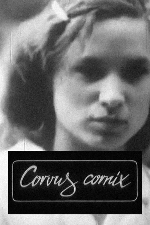 Corvus Cornix — с латинского ворона (1988)