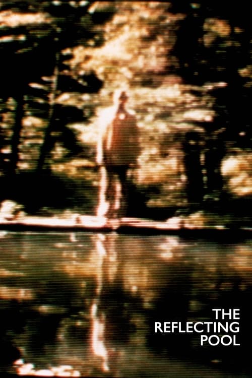 The Reflecting Pool (1979) poster