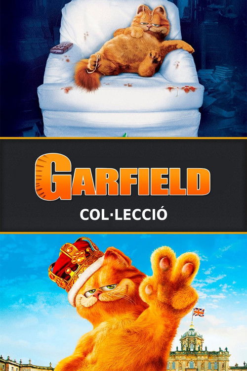 Pòster de Garfield - Col·lecció d'acció real