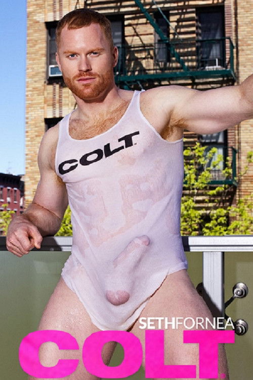 Legendary Bodies 3: Seth Fornea poster