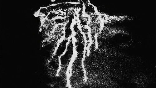 The Storm Manufacturing Co.