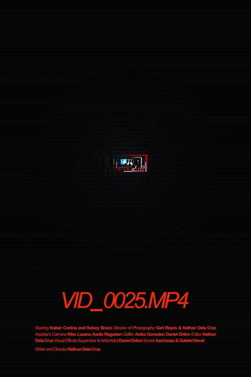 VID_0025.MP4 poster