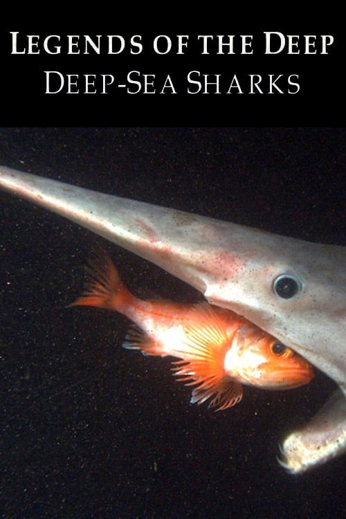 Legends of the Deep: Deep Sea Sharks 2015
