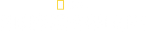 Tubarões vs. Embarcações