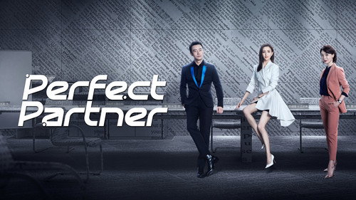 Perfect Partner
