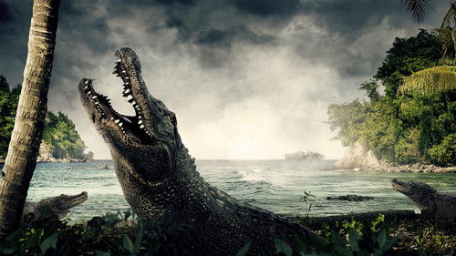 Escena 2 de El misterio de las islas perdidas