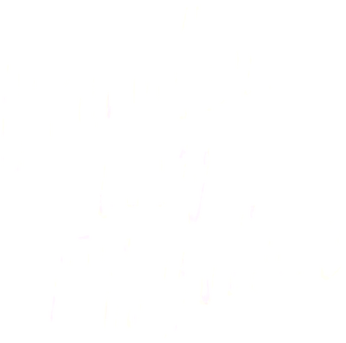 Pardon My Rhythm