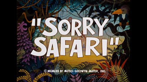 Sorry Safari