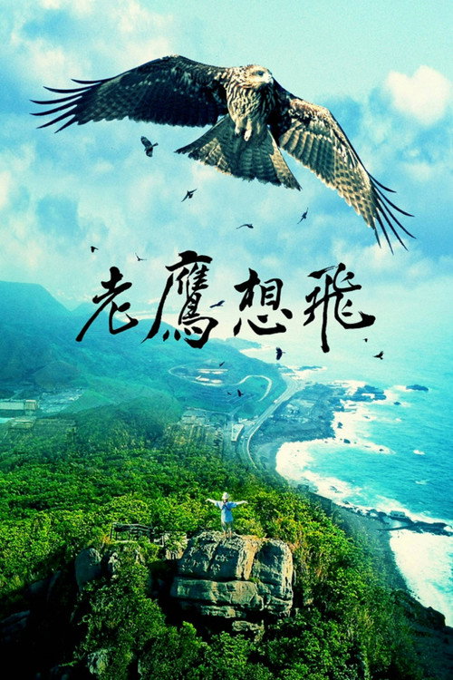 Fly, Kite Fly poster