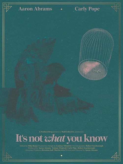 It's Not What You Know (2016)