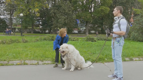 JJR17 มหาวิทยาลัยชีวิต จากป่าสู่เมือง