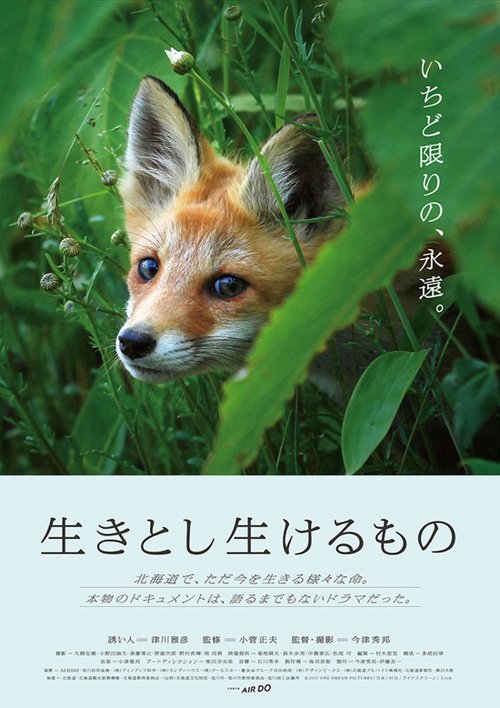 生きとし生けるもの movie poster player