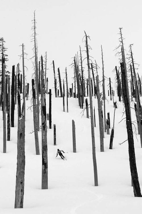 The Blackcountry Journal